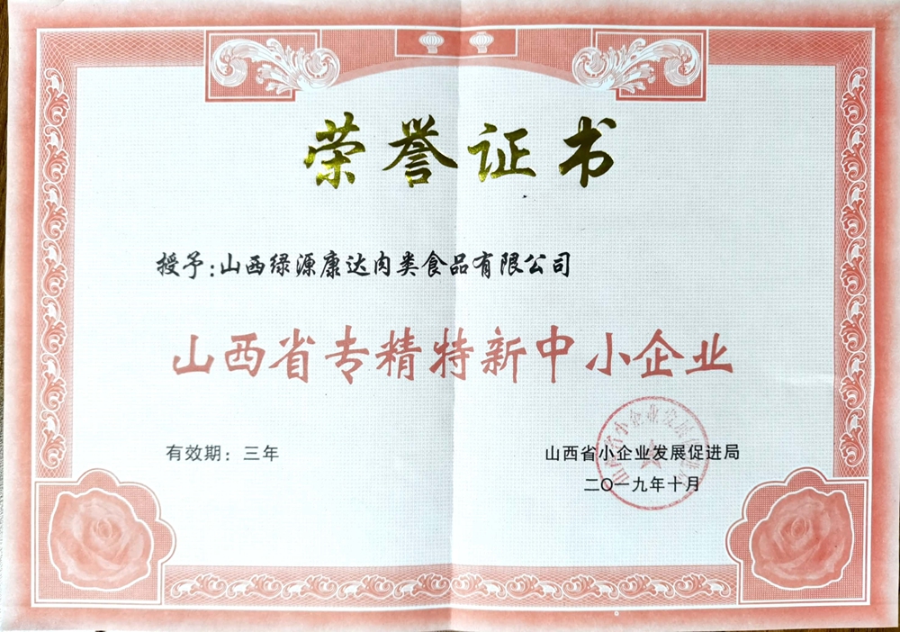 山西省专精特新中小企业荣誉证书